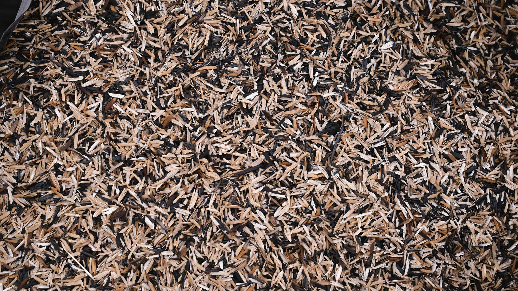Bulk Wood Chips for Gardening and Landscaping