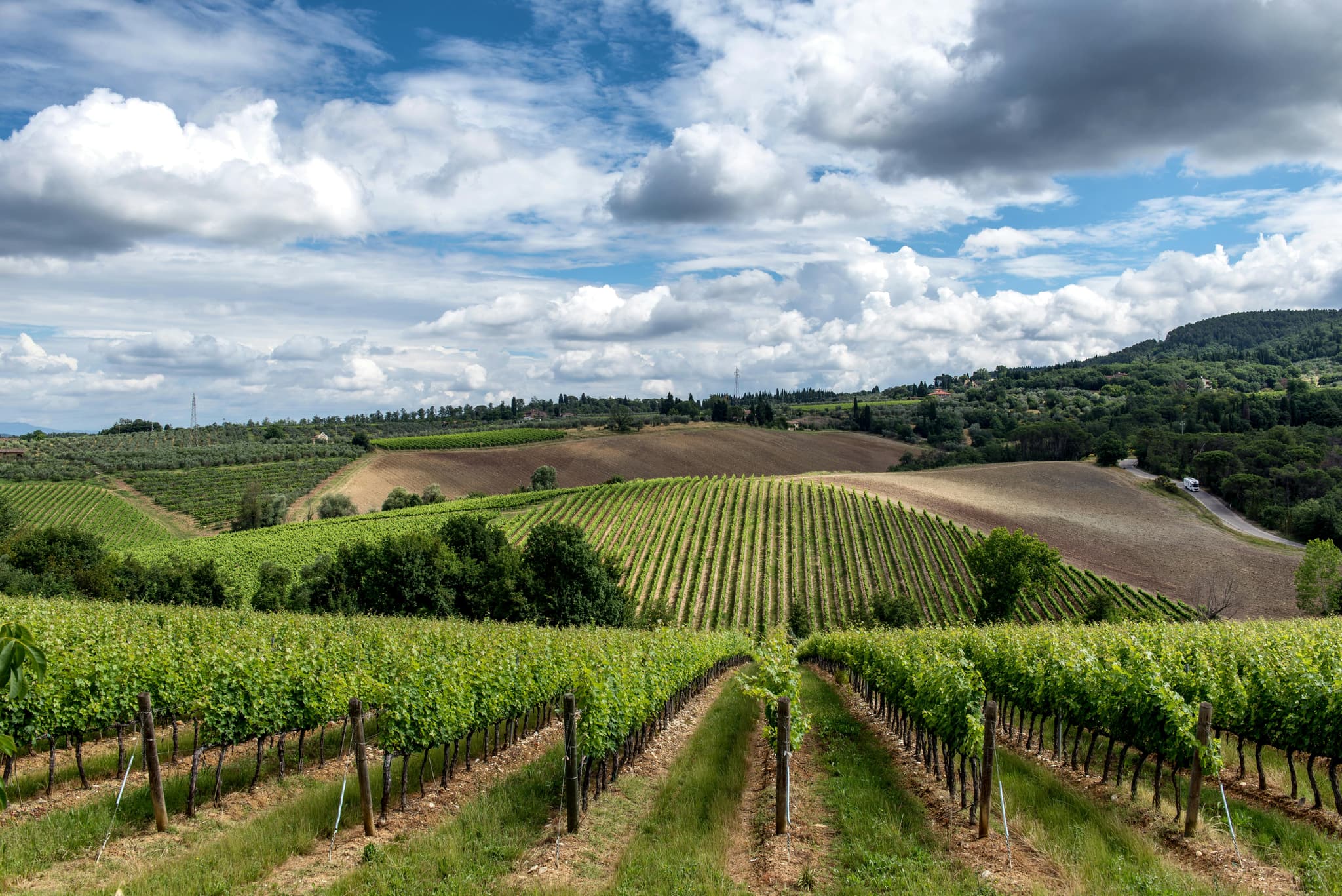 Unforgettable Wine Tasting Experiences in Clarksburg CA