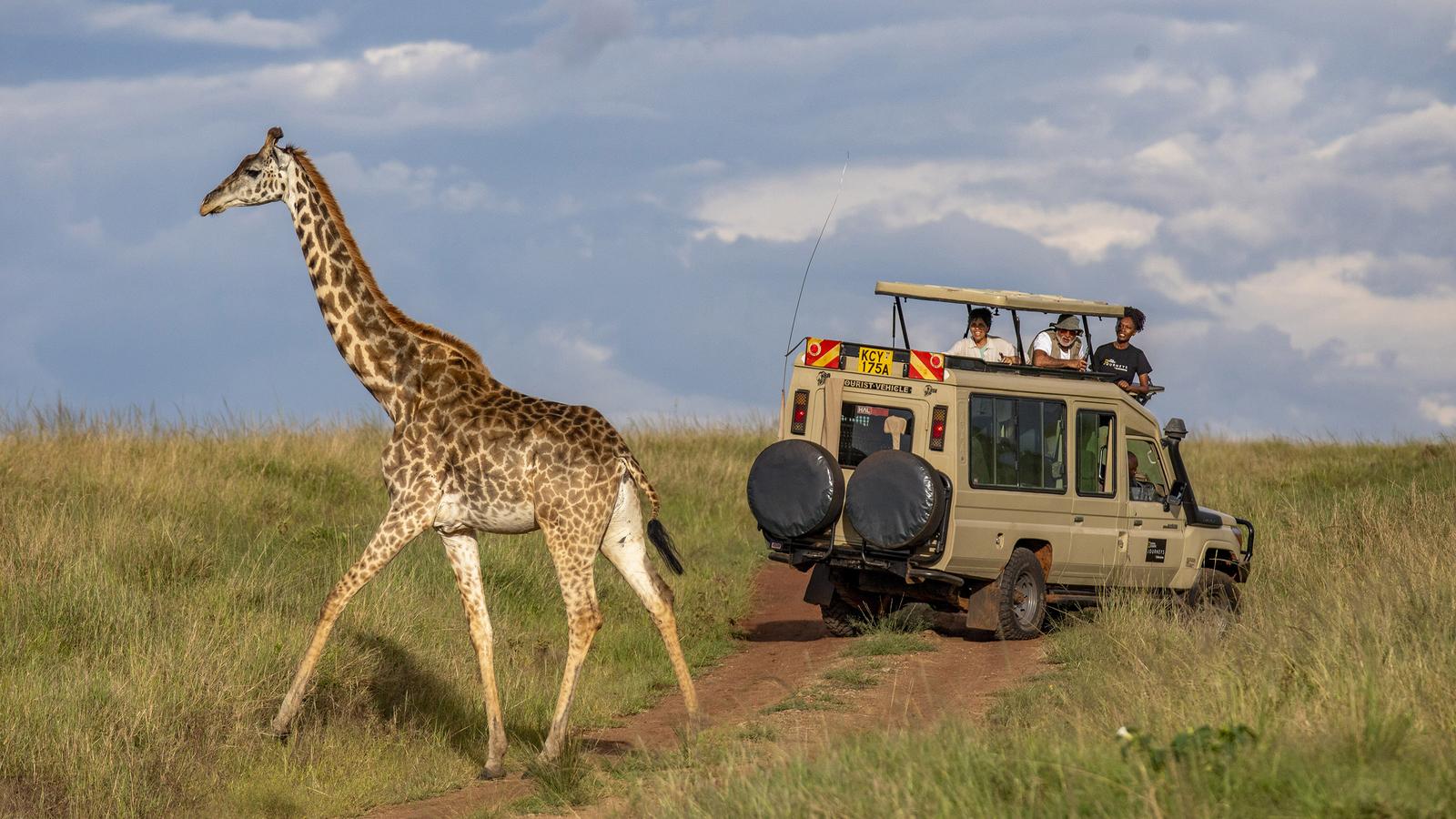 Safari from Zanzibar: Experience the Magic of Tanzania’s Wilderness