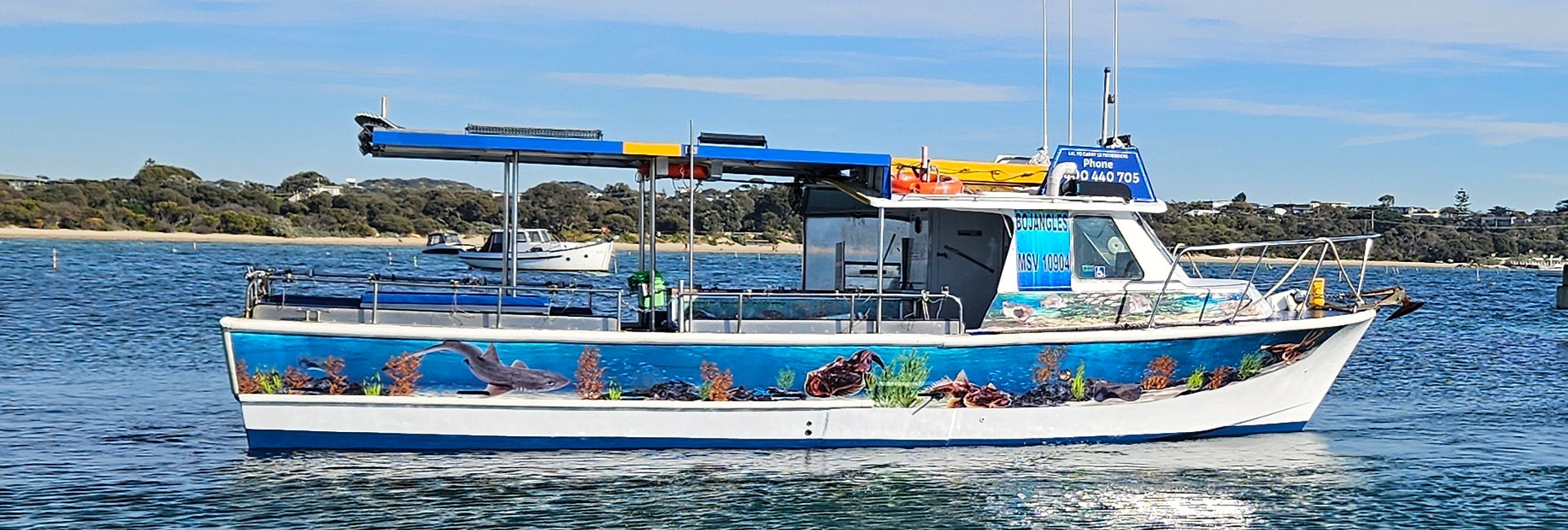 Cabo San Lucas Fishing Charters | All-Inclusive