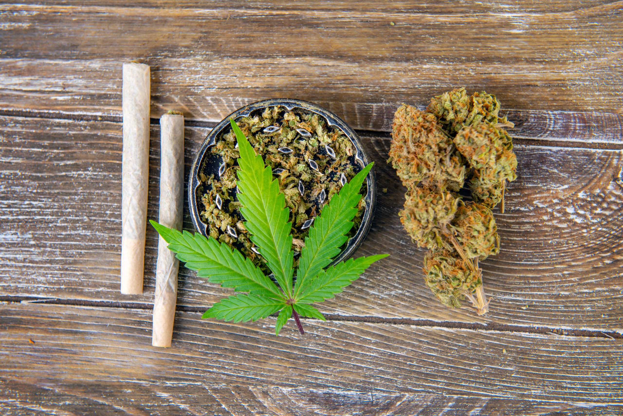 Csc hamburg – Der legale Weg zu Cannabis