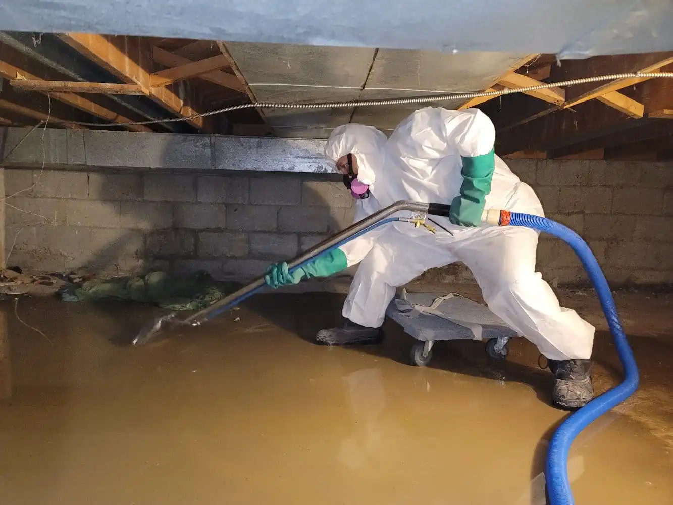 Certified Technicians for water damage restoration georgetown tx