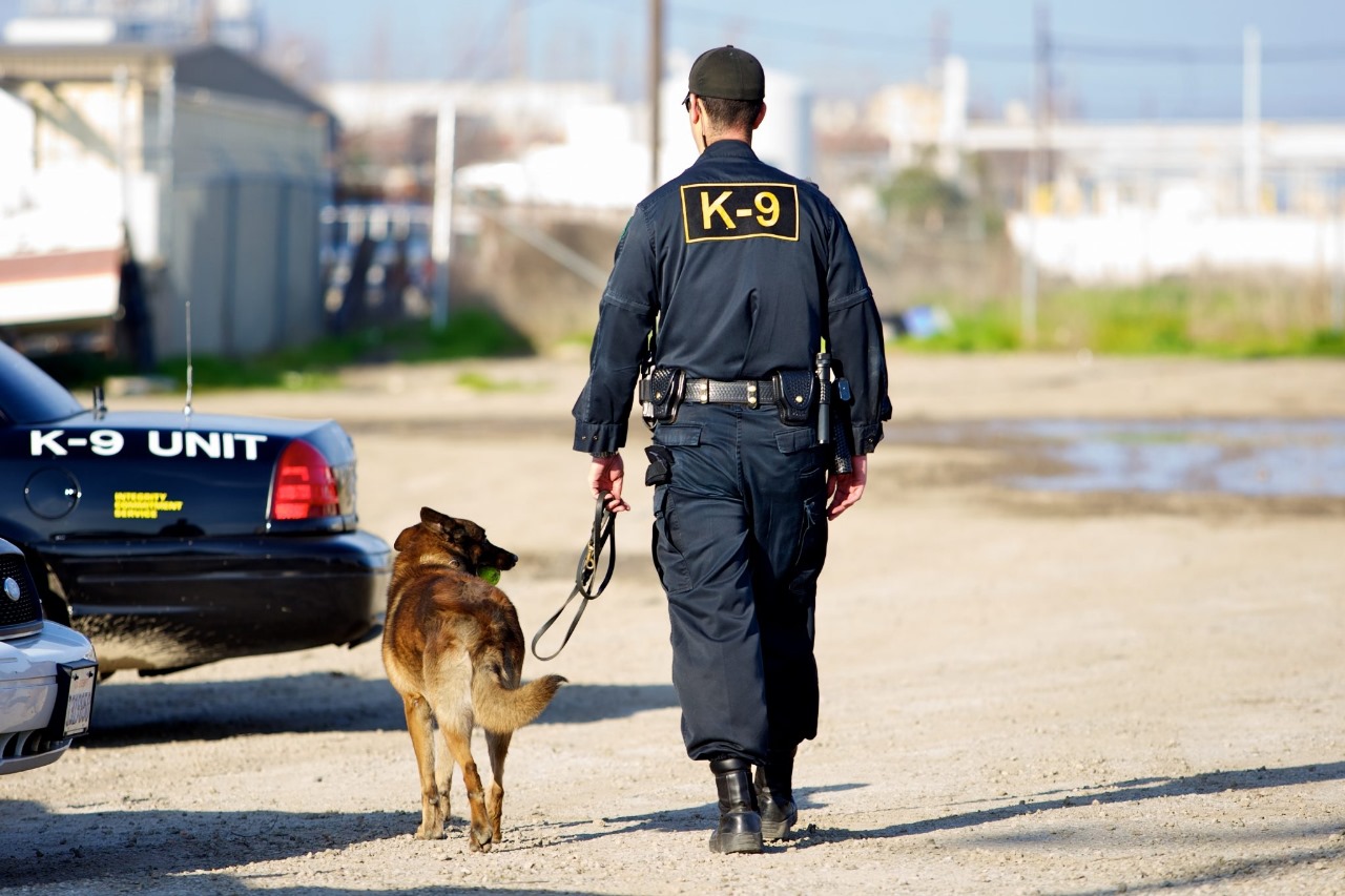 Security Dog Services Birmingham – Expert K9 Units for Superior Site Safety | ISA Support Services