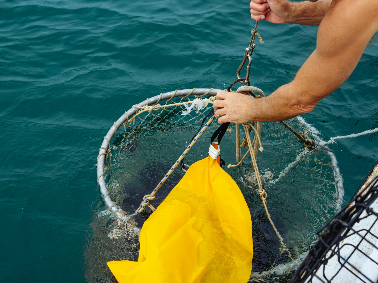 Lightweight Fly Fishing Net Choices for Backcountry Anglers