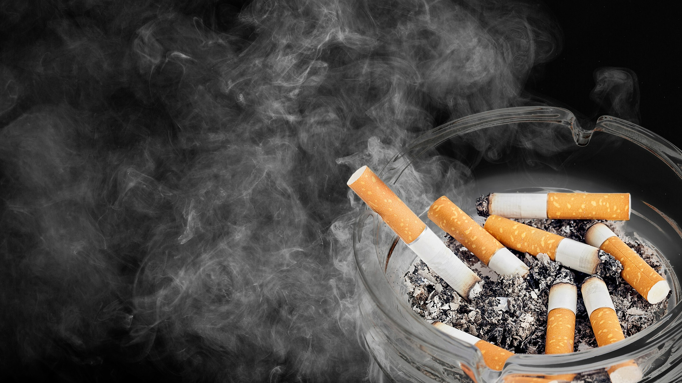 My Native Smokes: Reliable Source for Zyn Canada