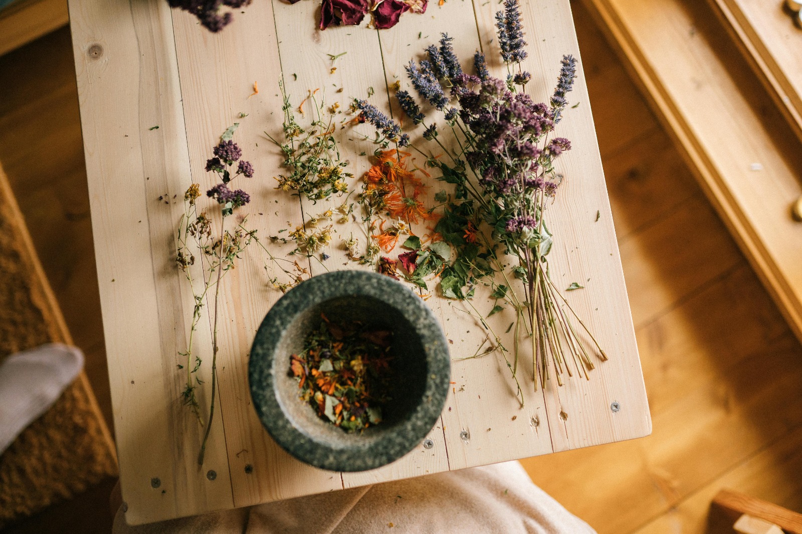 Ayurveda Online Courses for Beginners and Advanced Learners