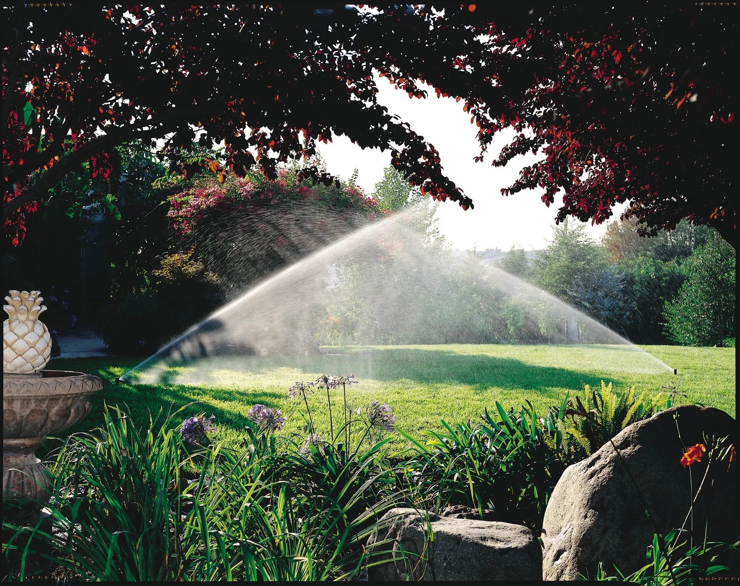 Expert Drainage Services in Aledo, TX for Long-Term Property Protection