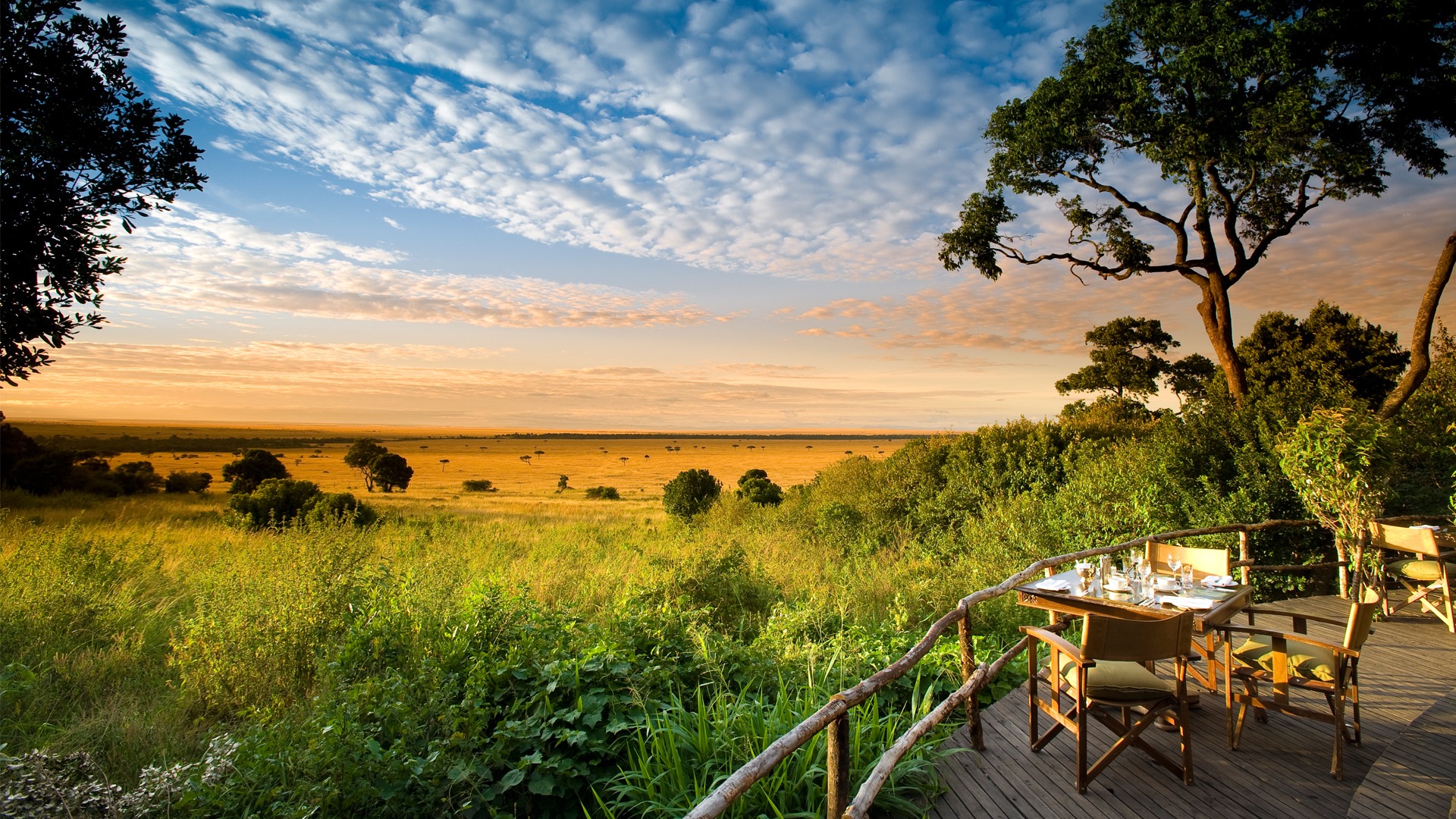 African Safari Adventures | Explore Wildlife with JExtraordinary Safaris