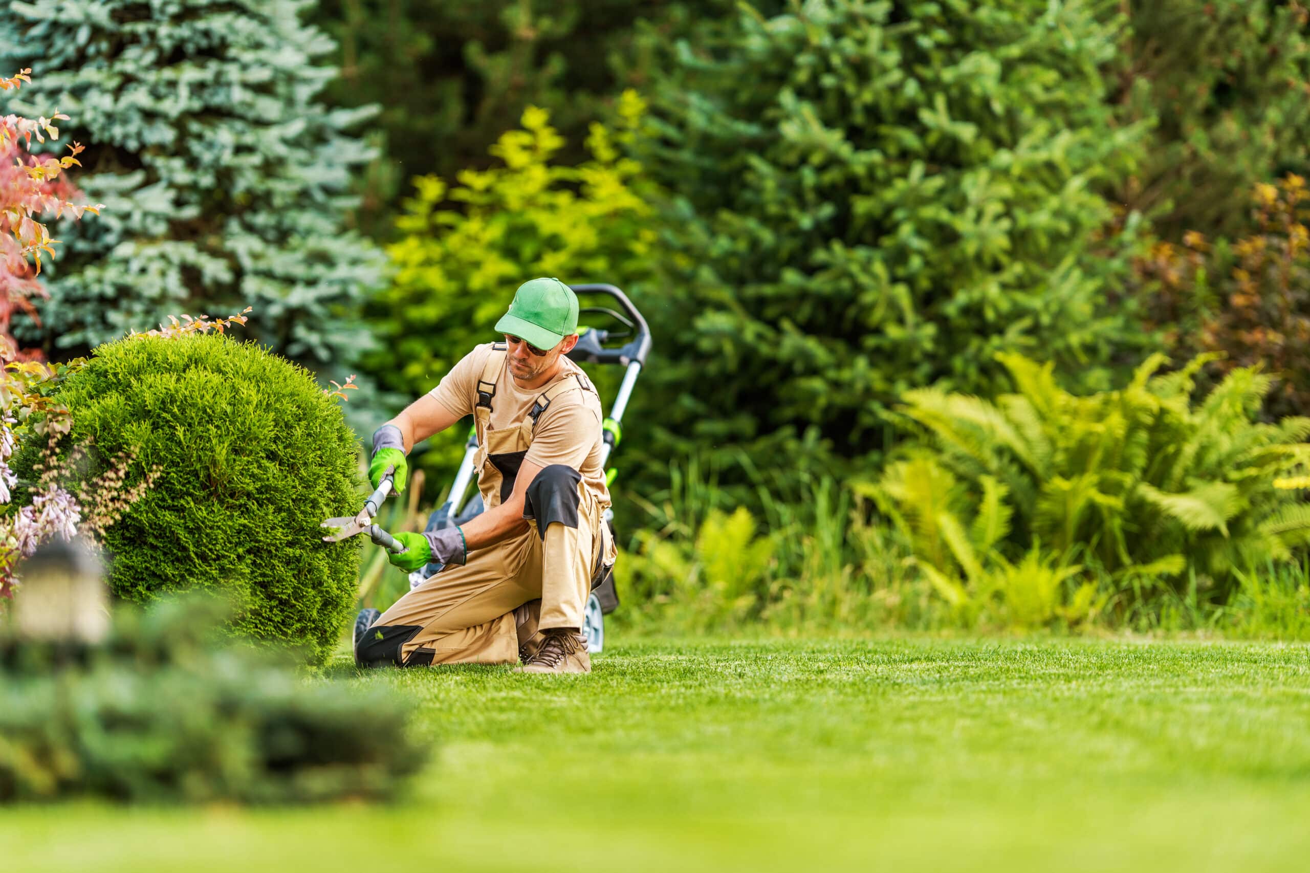 Professional Irrigation Services in Willow Park, TX with Customer Satisfaction