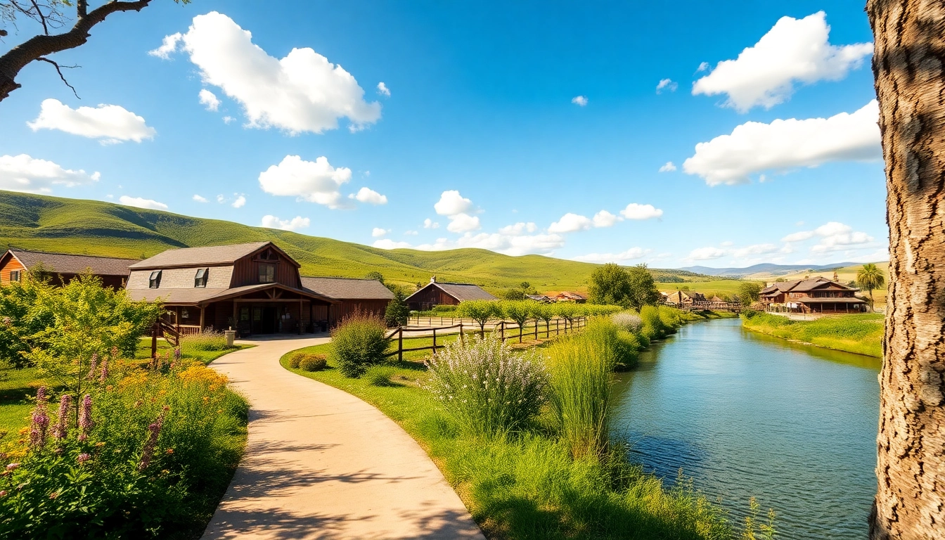 Experience the serene landscapes of Clarksburg CA with lush vineyards and the Sacramento River.