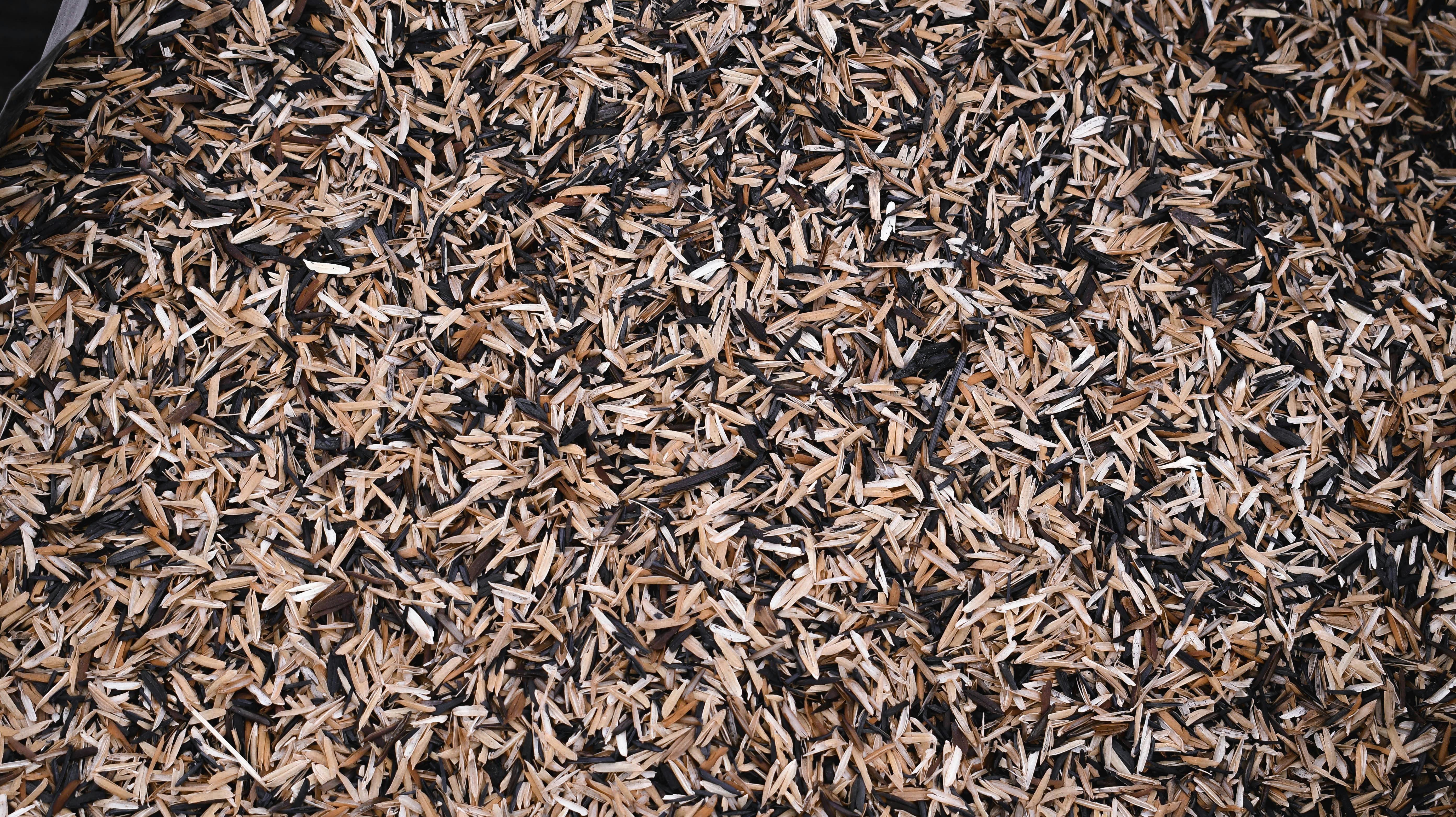 Bulk Wood Chips for Gardening and Landscaping