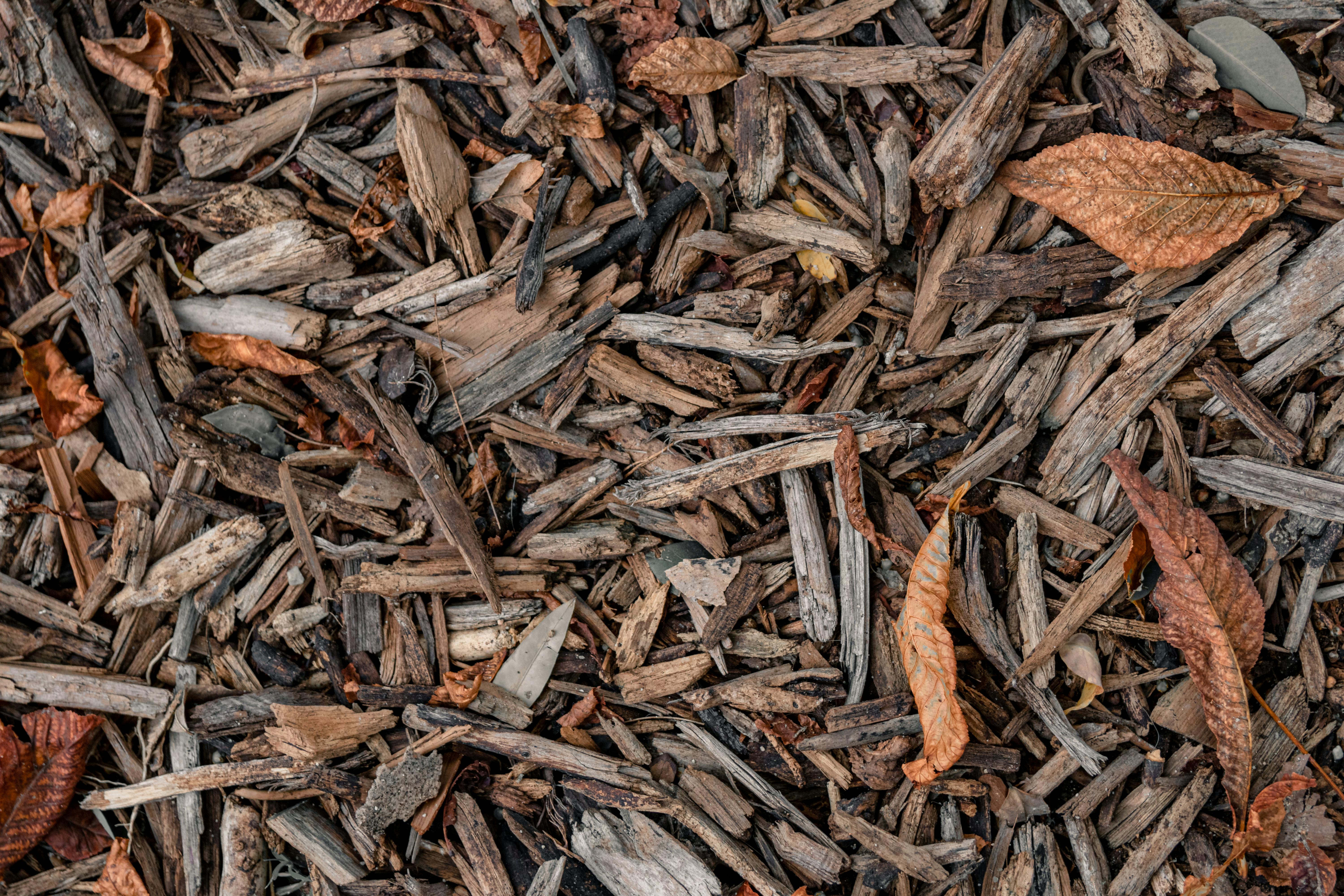 Reliable Wood Chips for Boilers Poland: Maximize Your Heating Efficiency