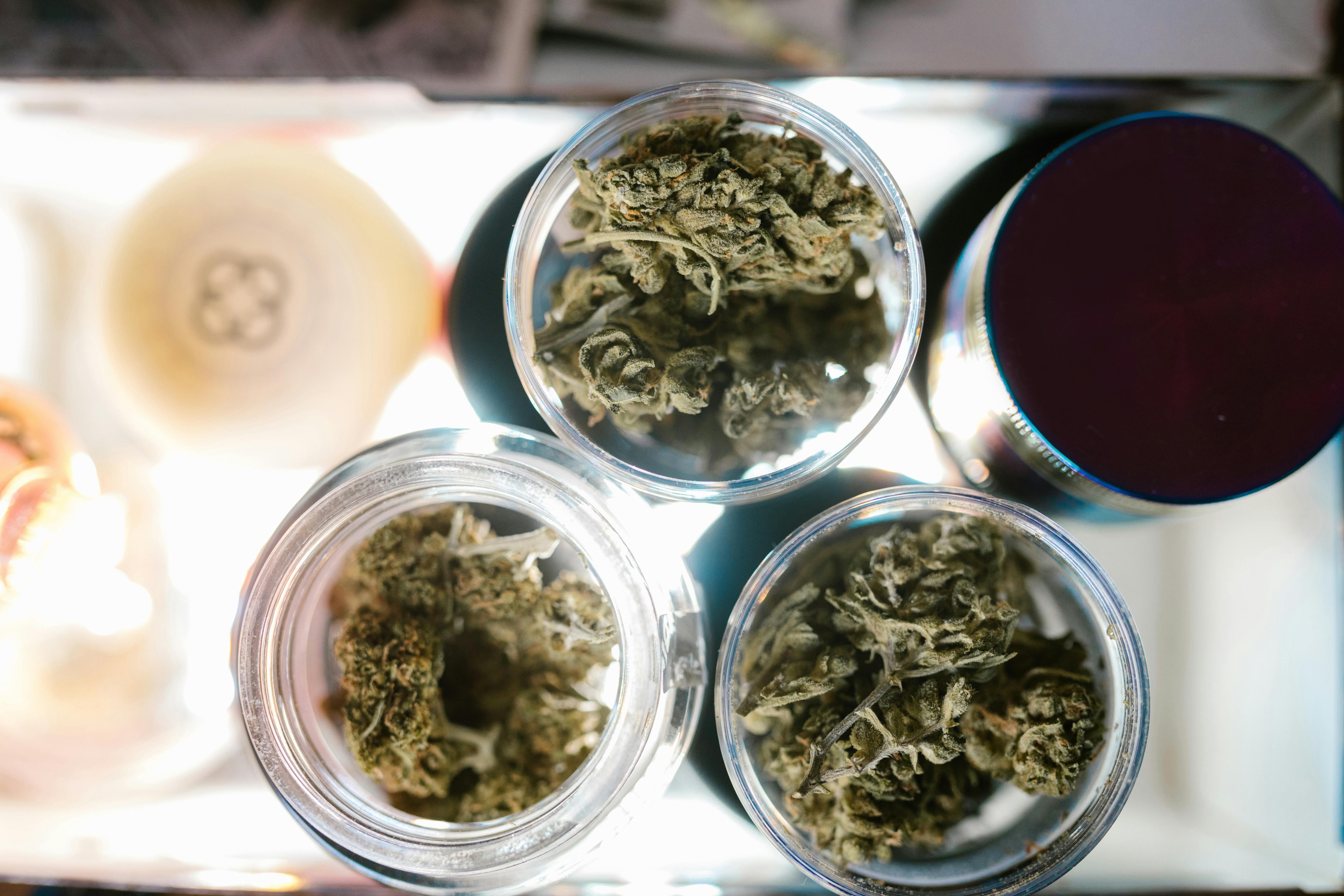 HOW THCA HAS BECOME PART OF MODERN CANNABINOID DISCUSSIONS