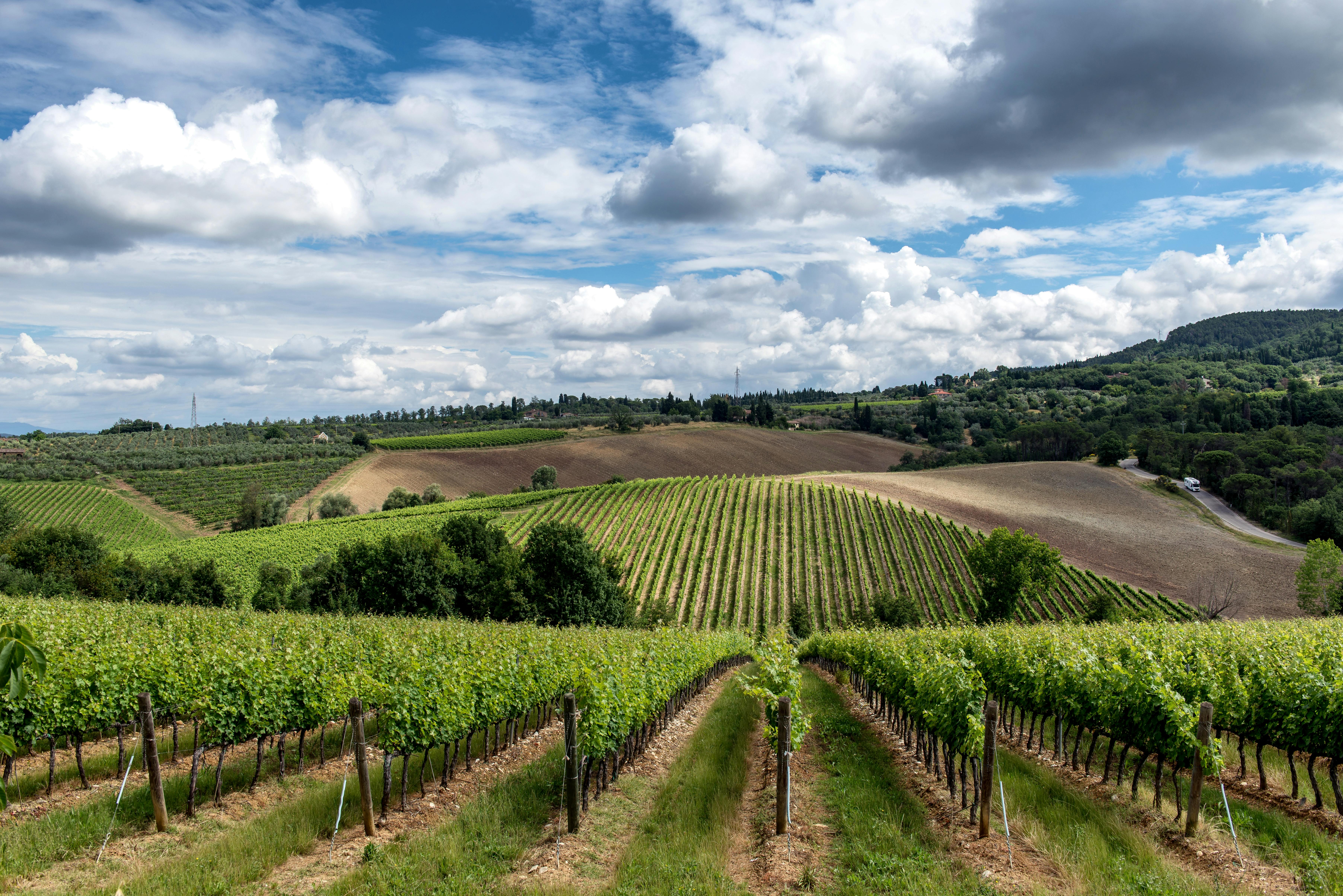 Unforgettable Wine Tasting Experiences in Clarksburg CA