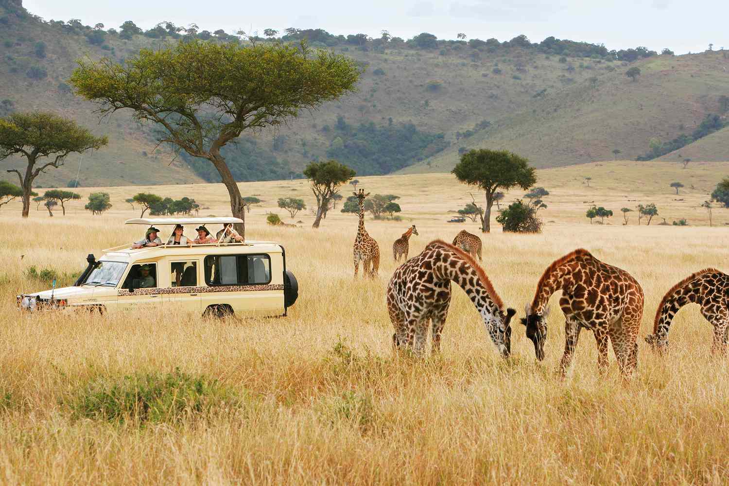 Discover East Africa with a Kenya Tanzania Safari