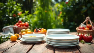 Showcase eco friendly disposable plates arranged beautifully for an outdoor picnic.